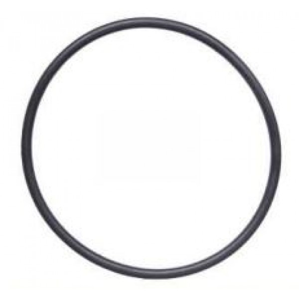 O-ring 170, 81x7 DIN3771NBR70