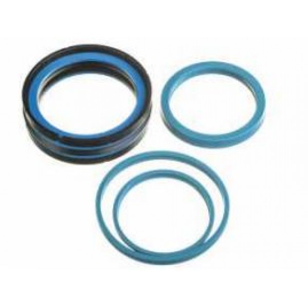 Cylinder sealing D 110